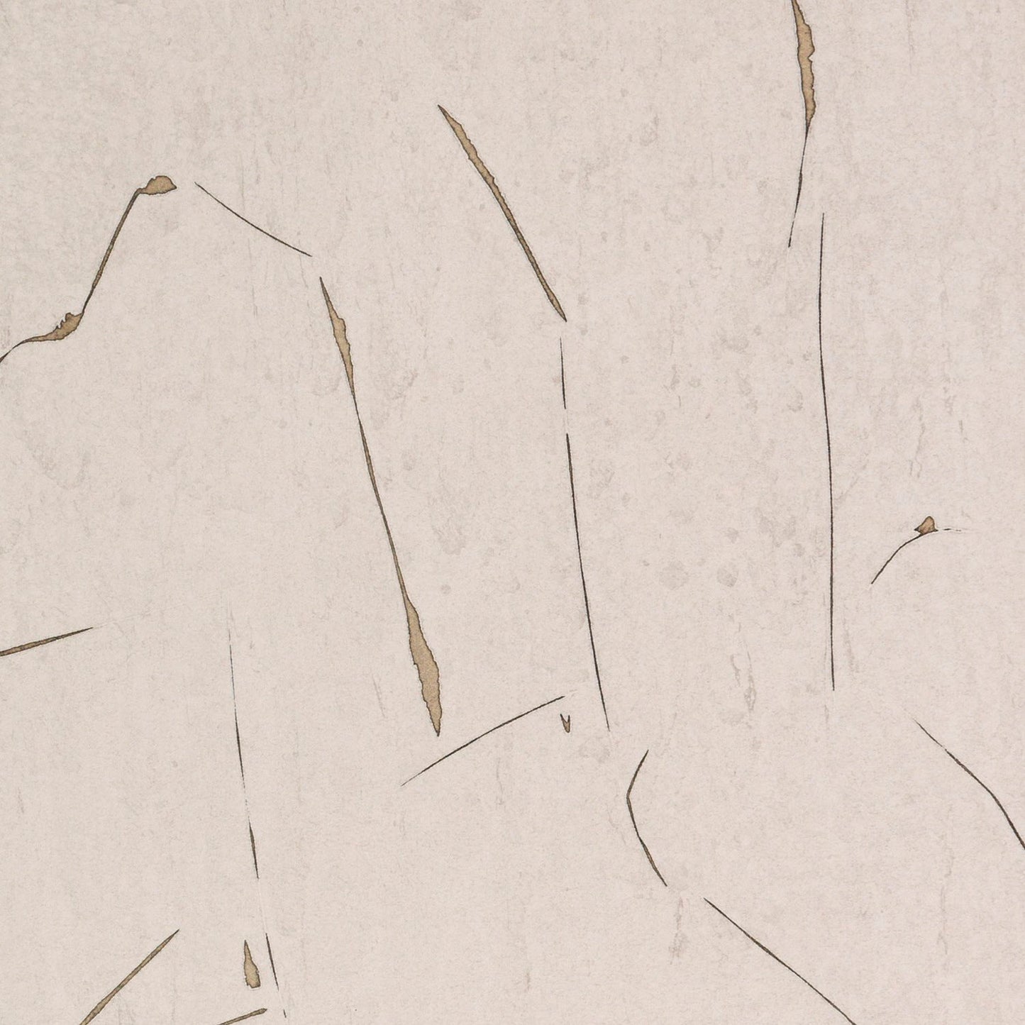 detail of the drawing reproduction from the centre