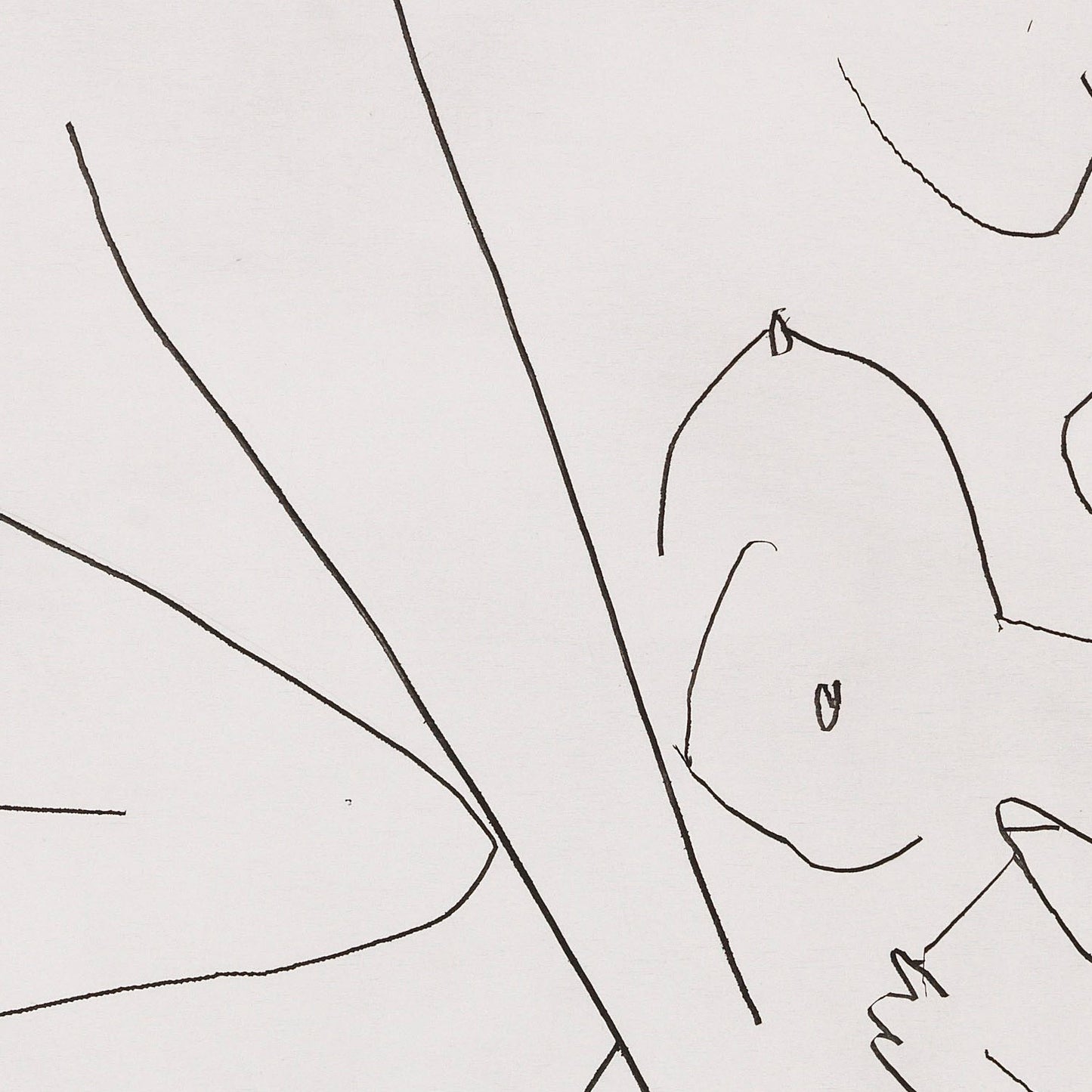detail of the drawing reproduction from the centre
