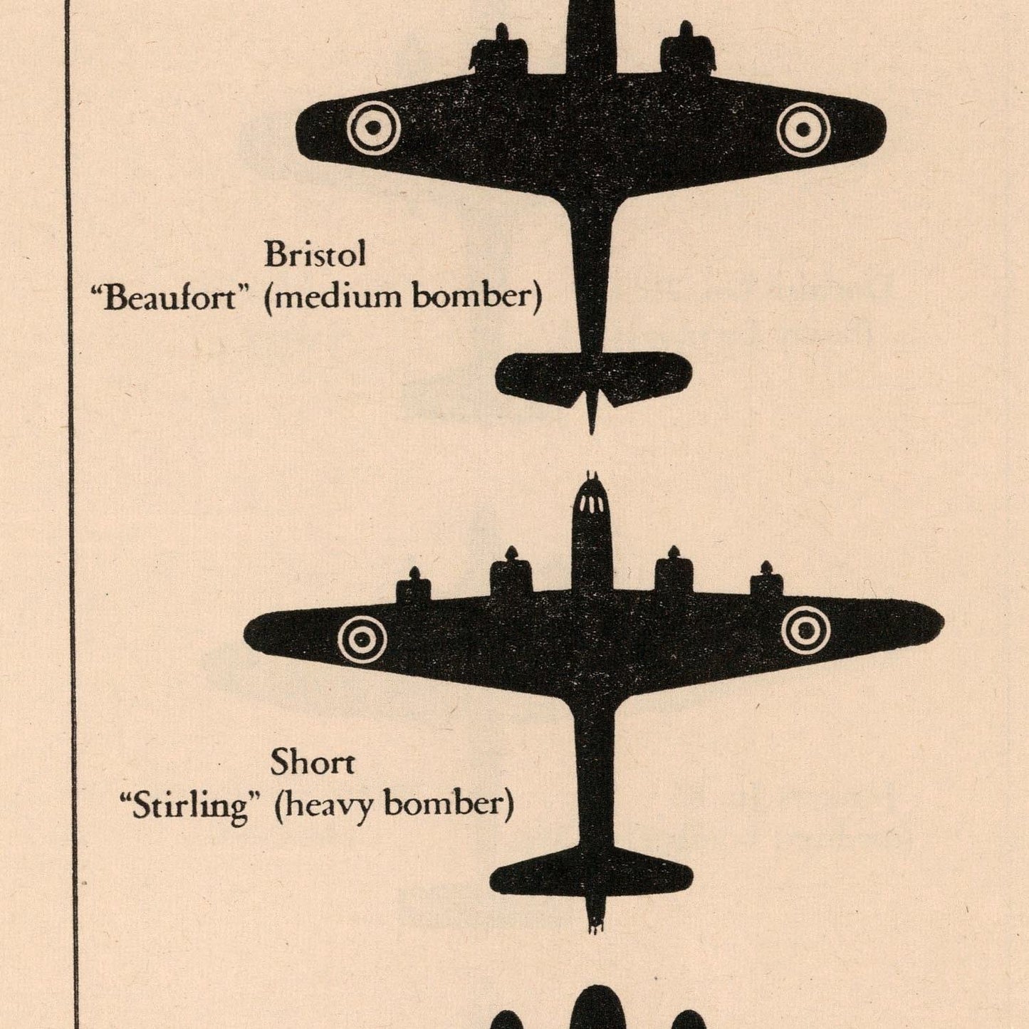 detail of the drawing reproduction from the centre