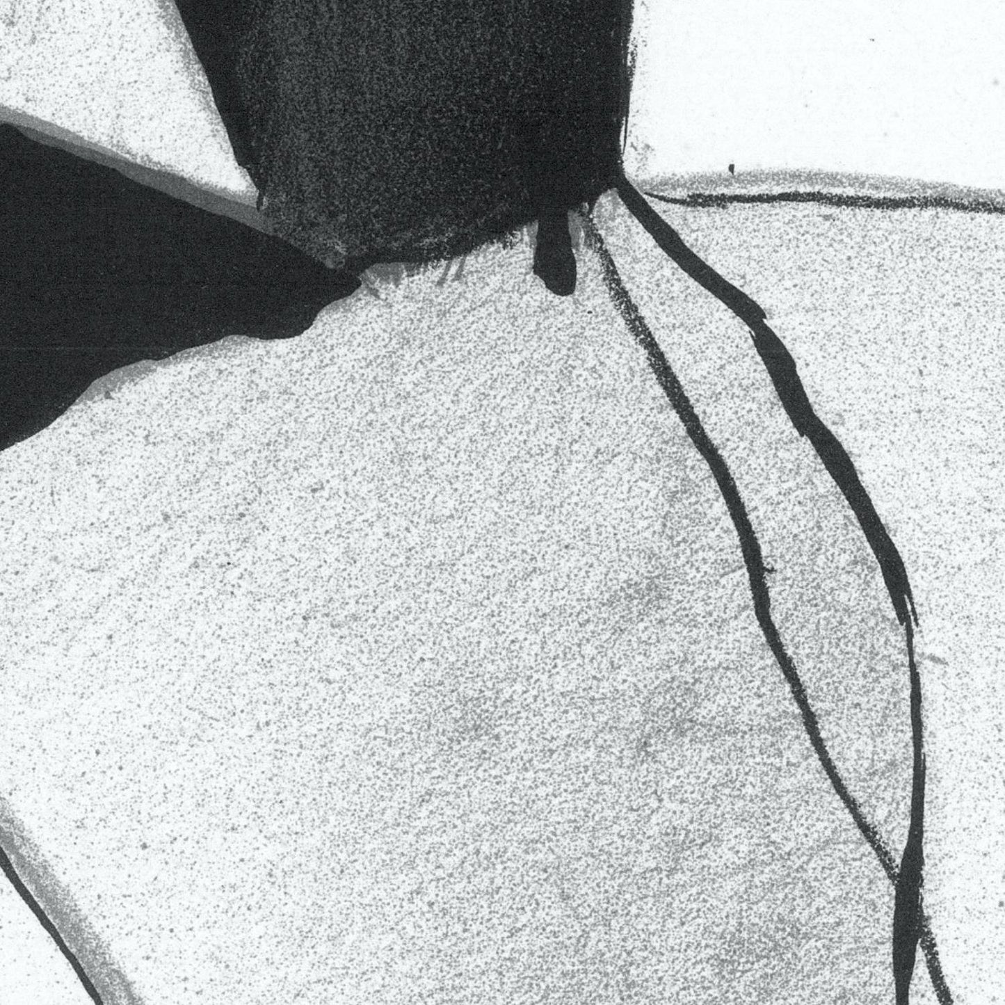 detail of the fine art reproduction from the centre