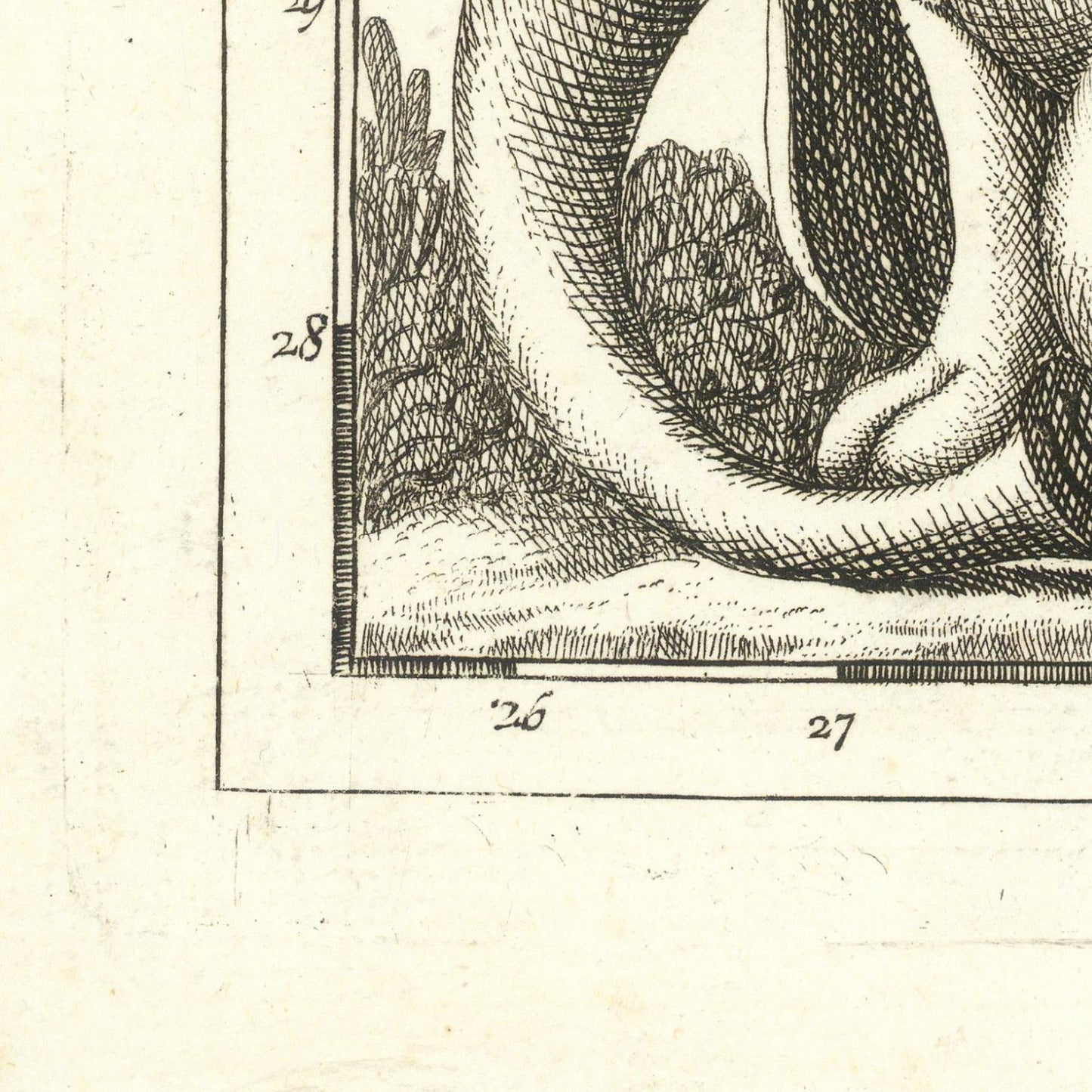 detail of the map from the bottom left corner