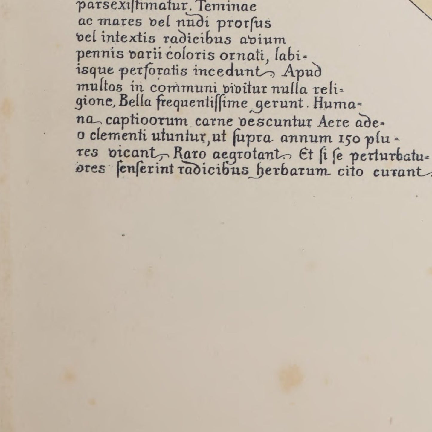 detail of the map from the bottom left corner