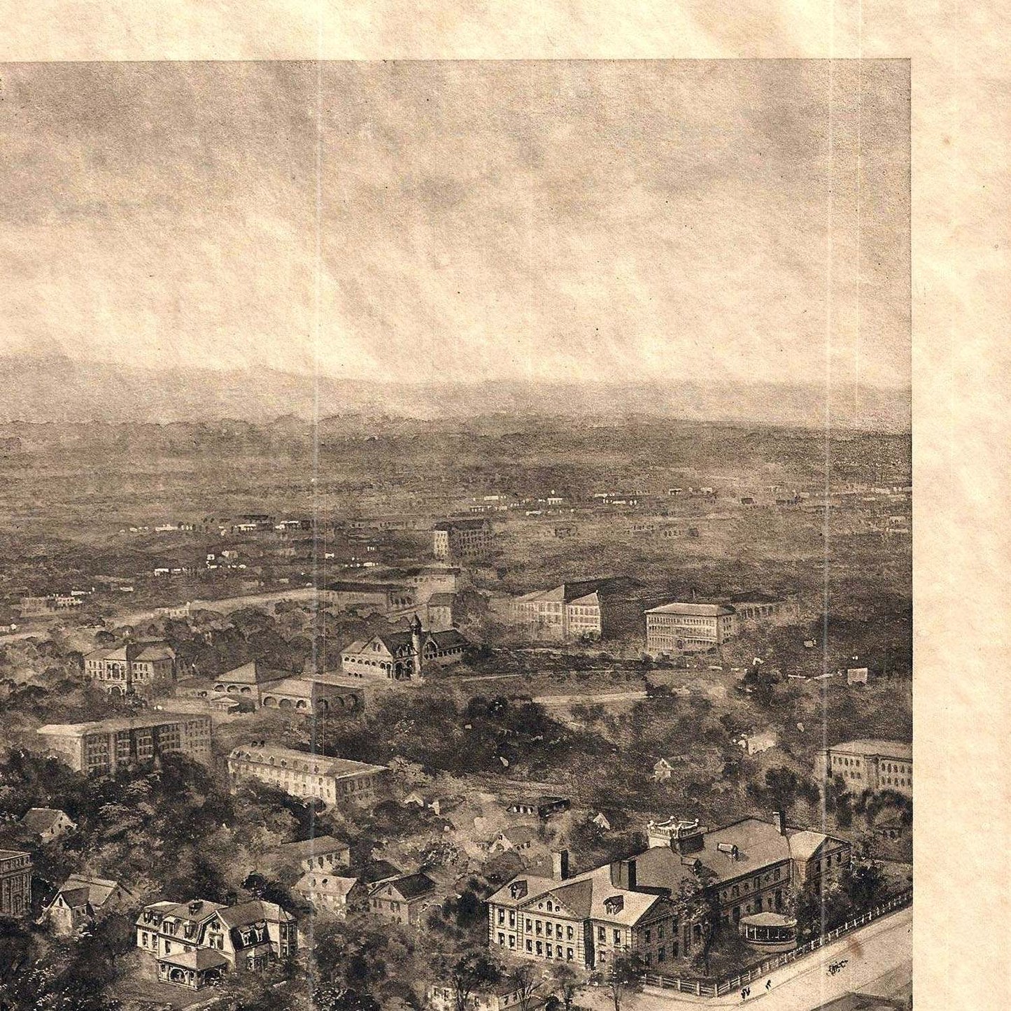 detail of the drawing reproduction from the top right corner
