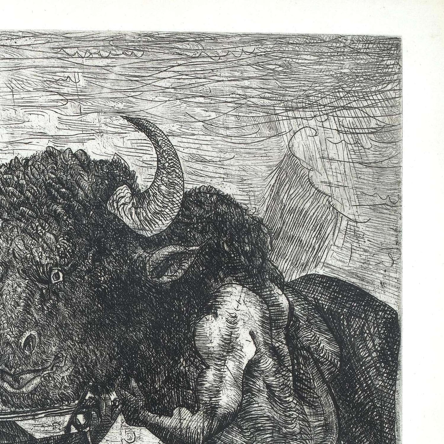 detail of the drawing reproduction from the top right corner