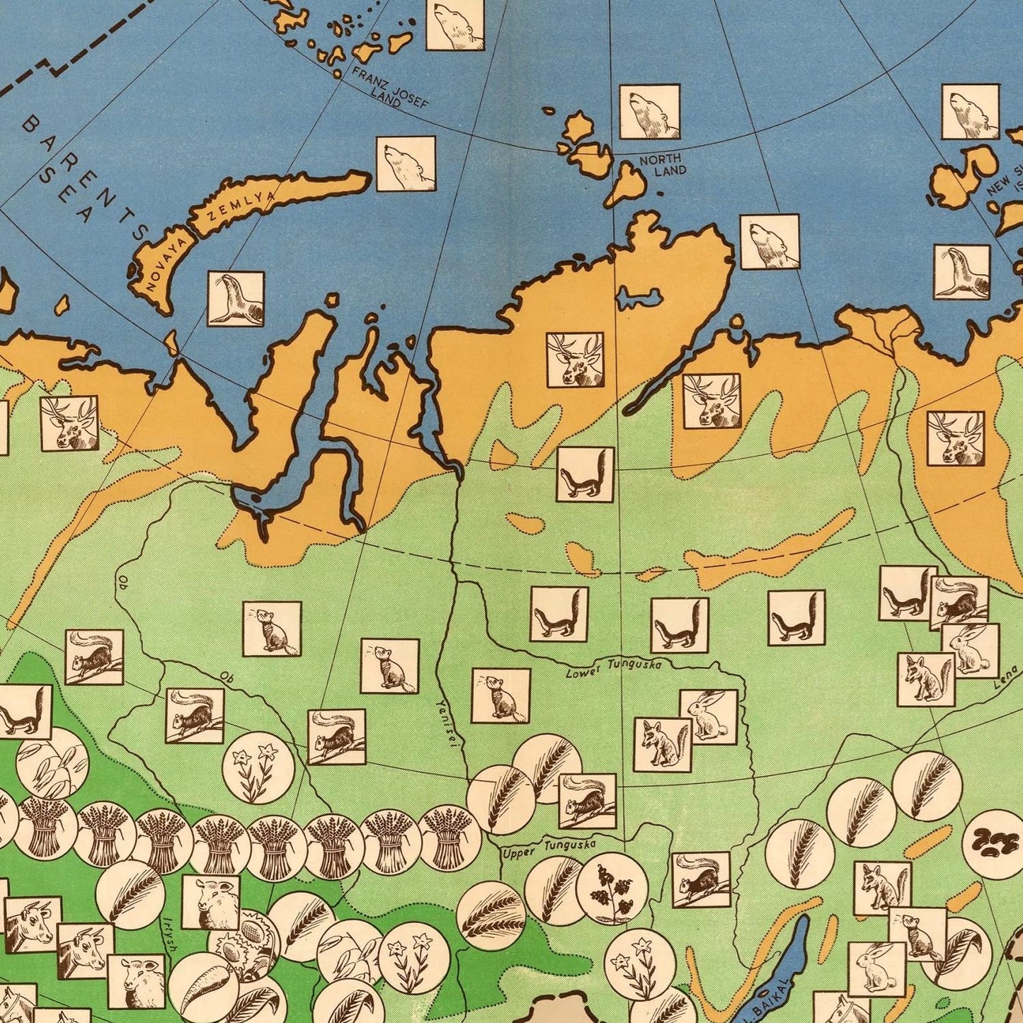 Old map of the USSR Agriculture, 1946