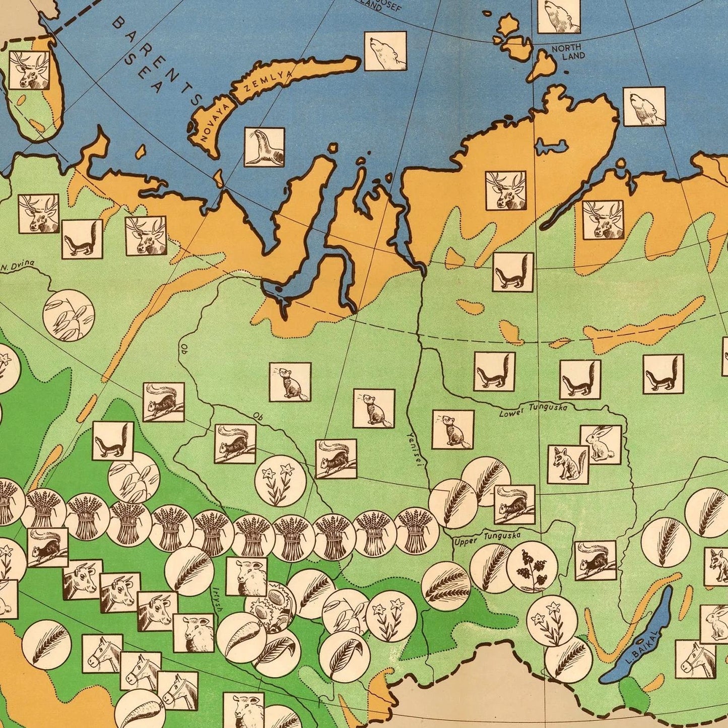 Old map of the USSR Agriculture, 1946