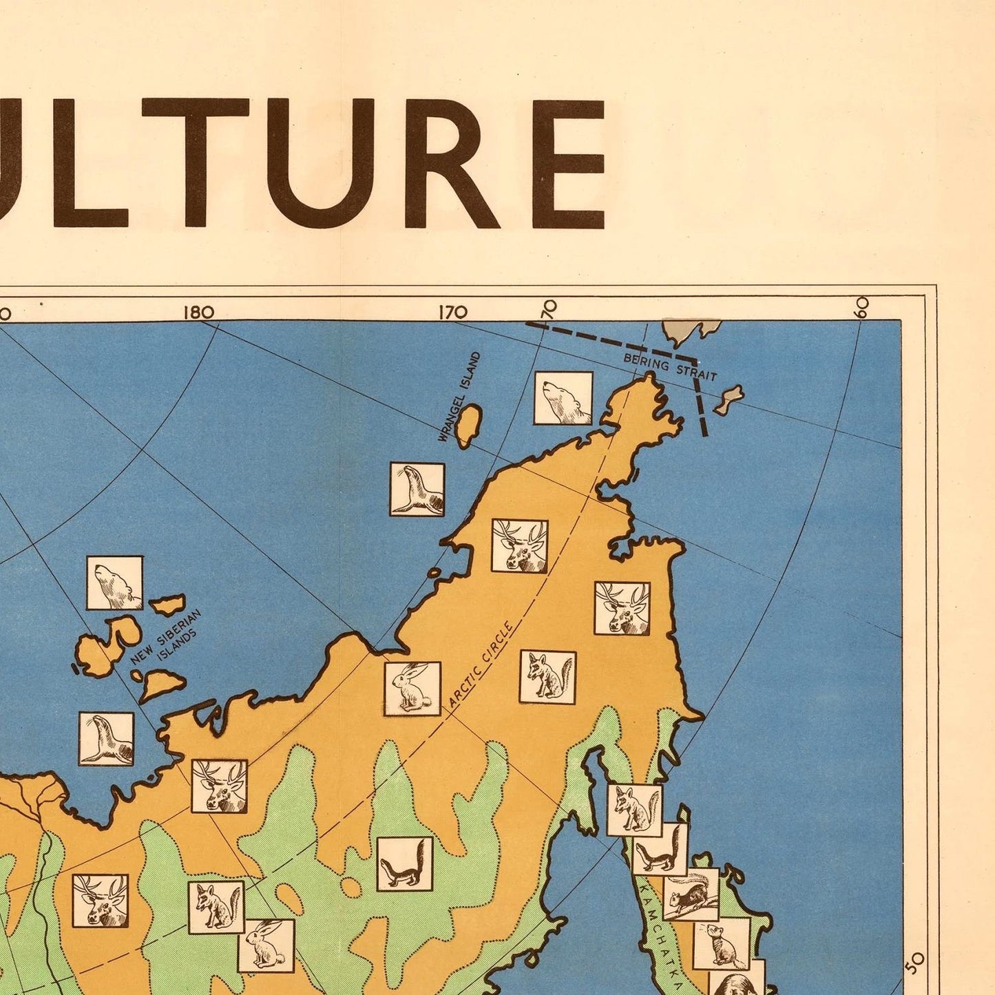Old map of the USSR Agriculture, 1946