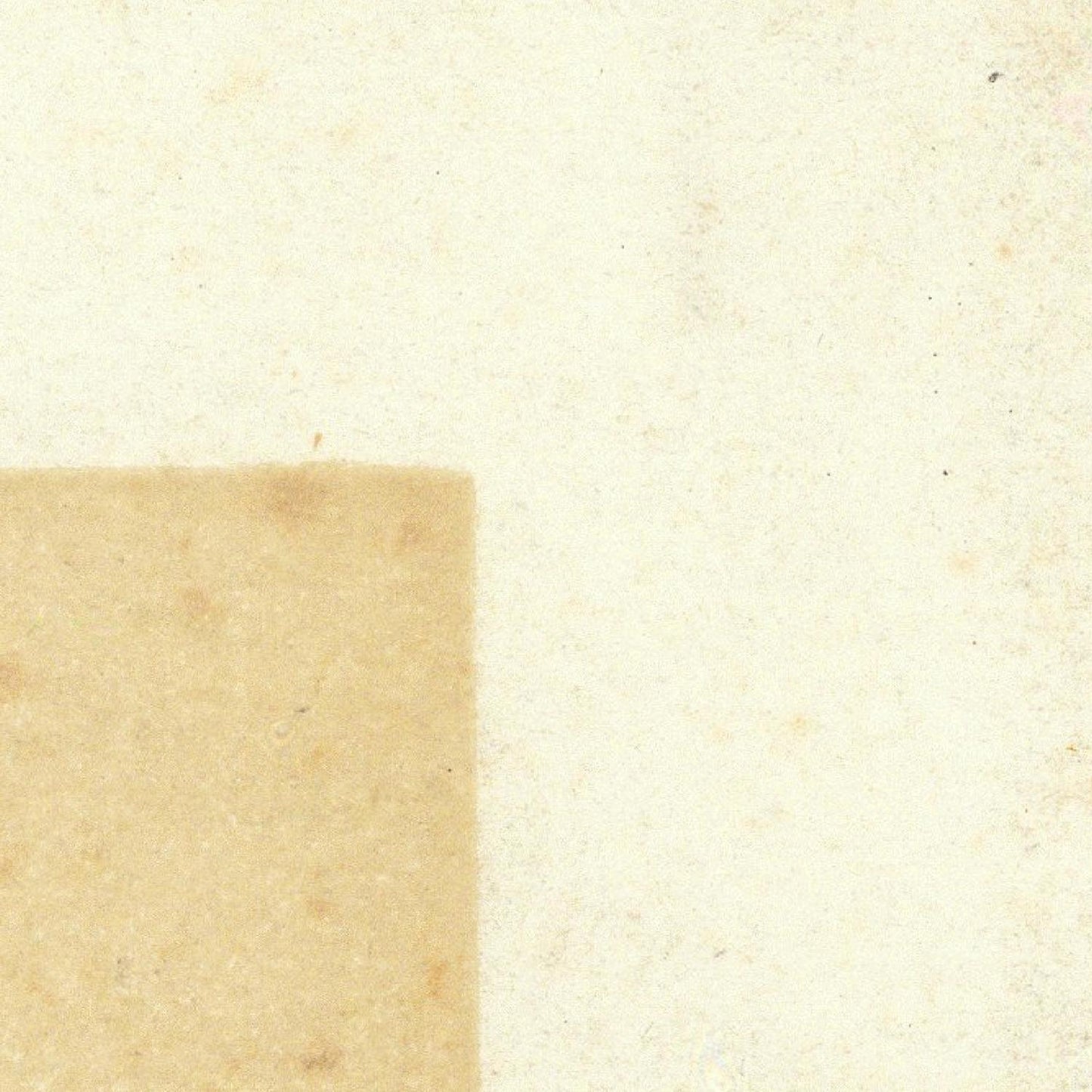 Close-up of beige and white textured paper