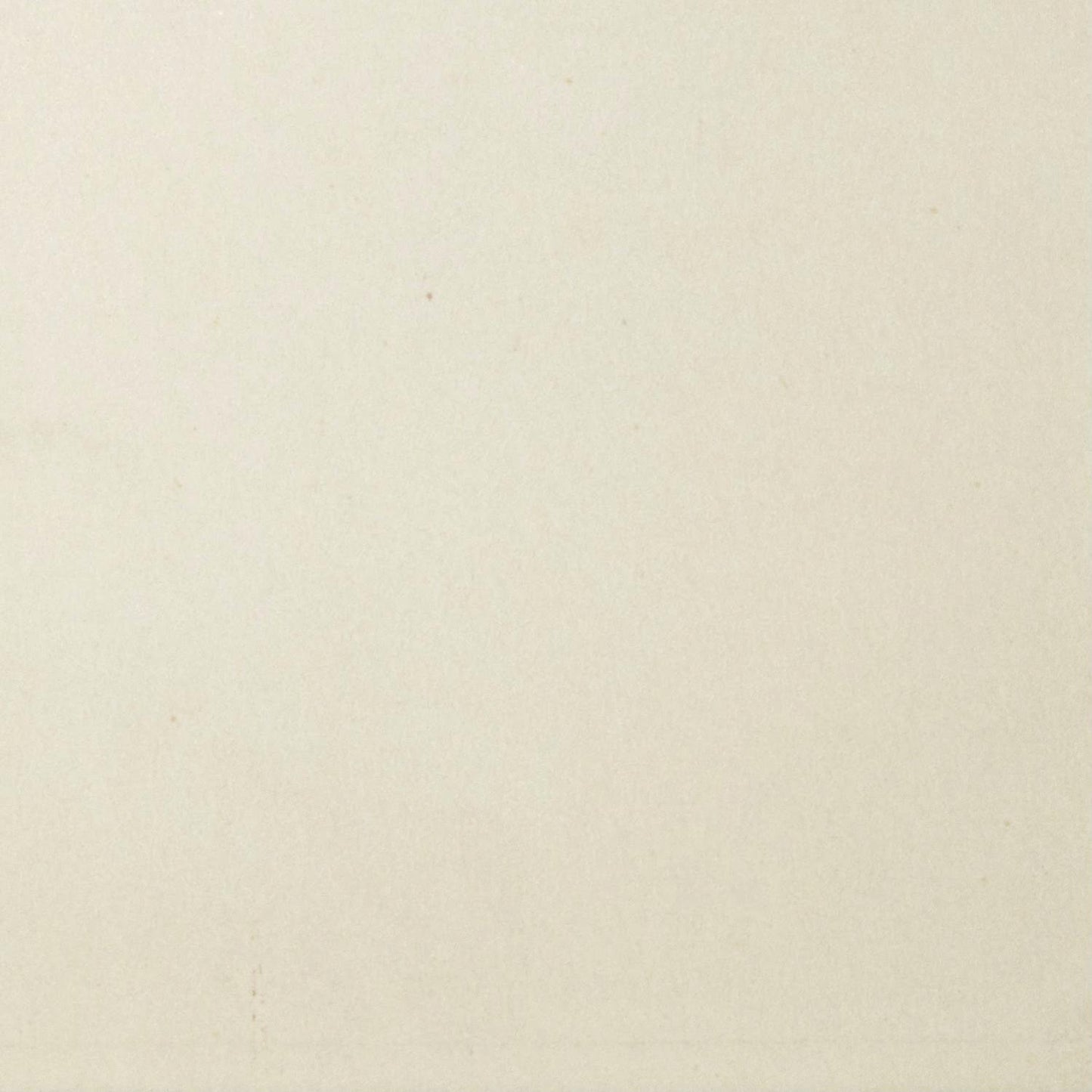 Solid light beige color swatch