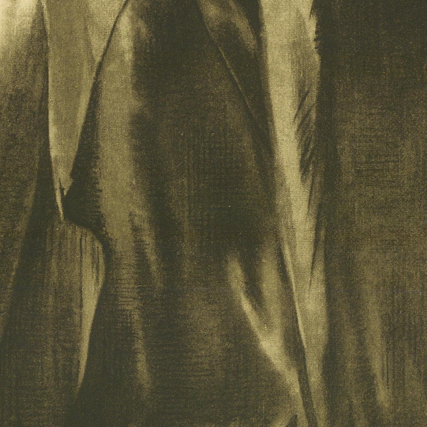 detail of the drawing reproduction from the centre