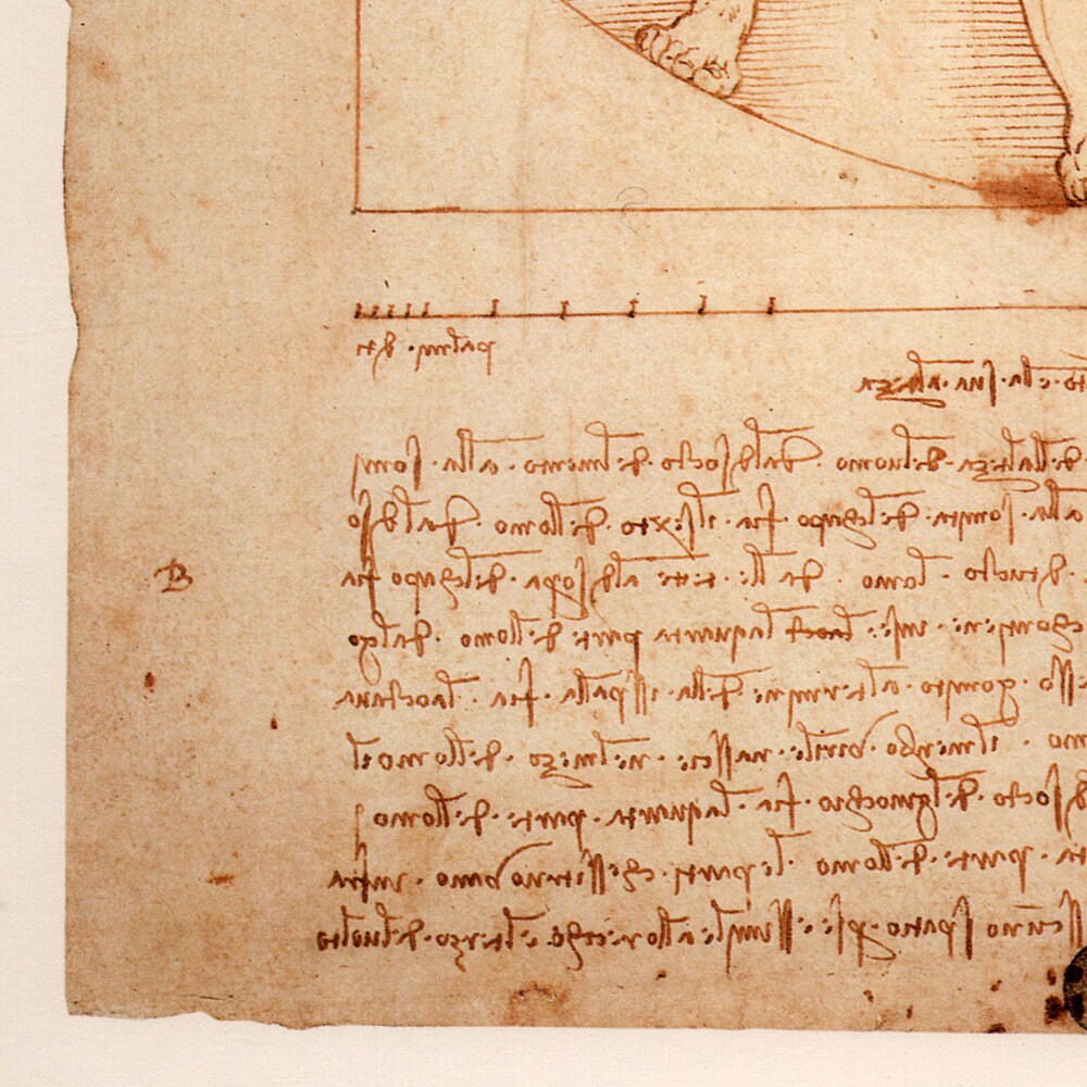 detail of the drawing reproduction from the bottom left corner