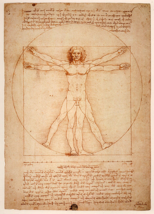 presentation of the drawing reproduction without a frame