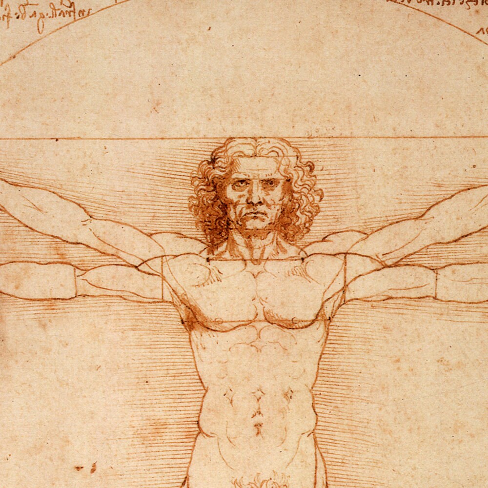 detail of the drawing reproduction from the centre