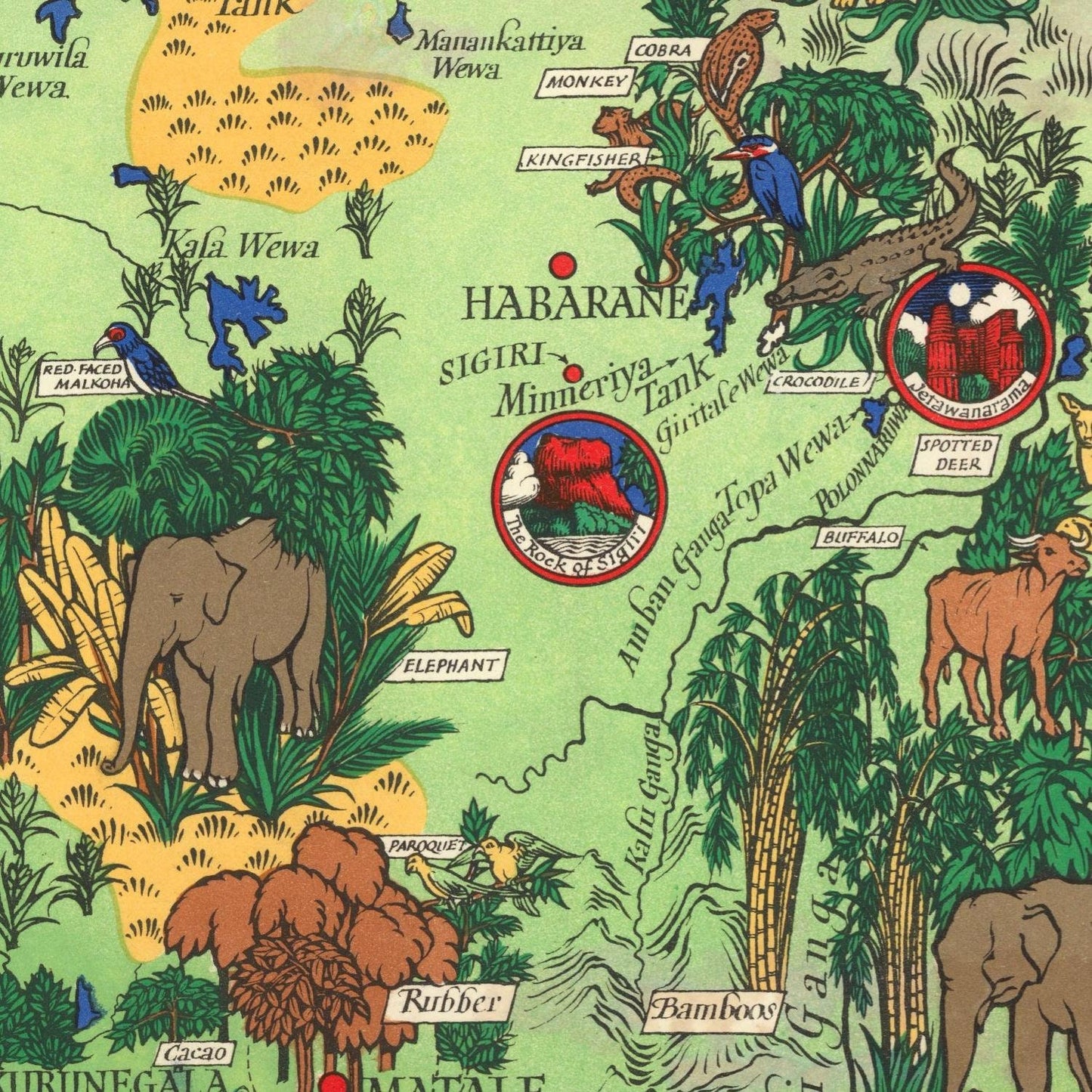 detail of the map from the centre