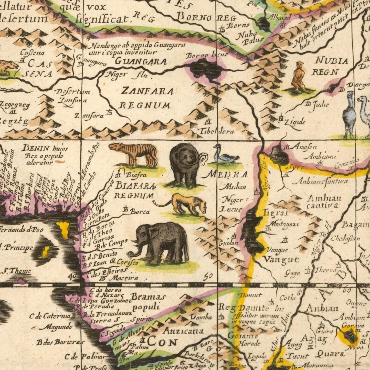 detail of the map from the centre