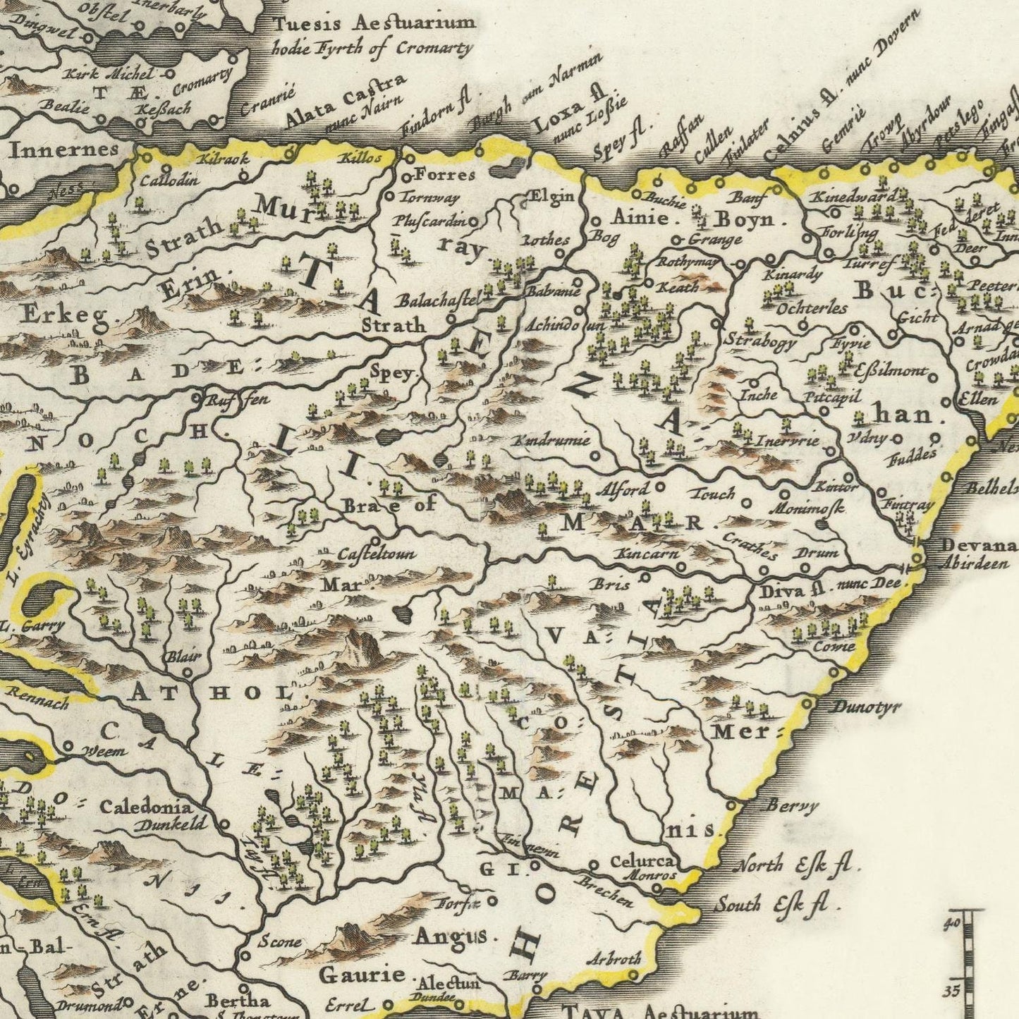 detail of the map from the centre