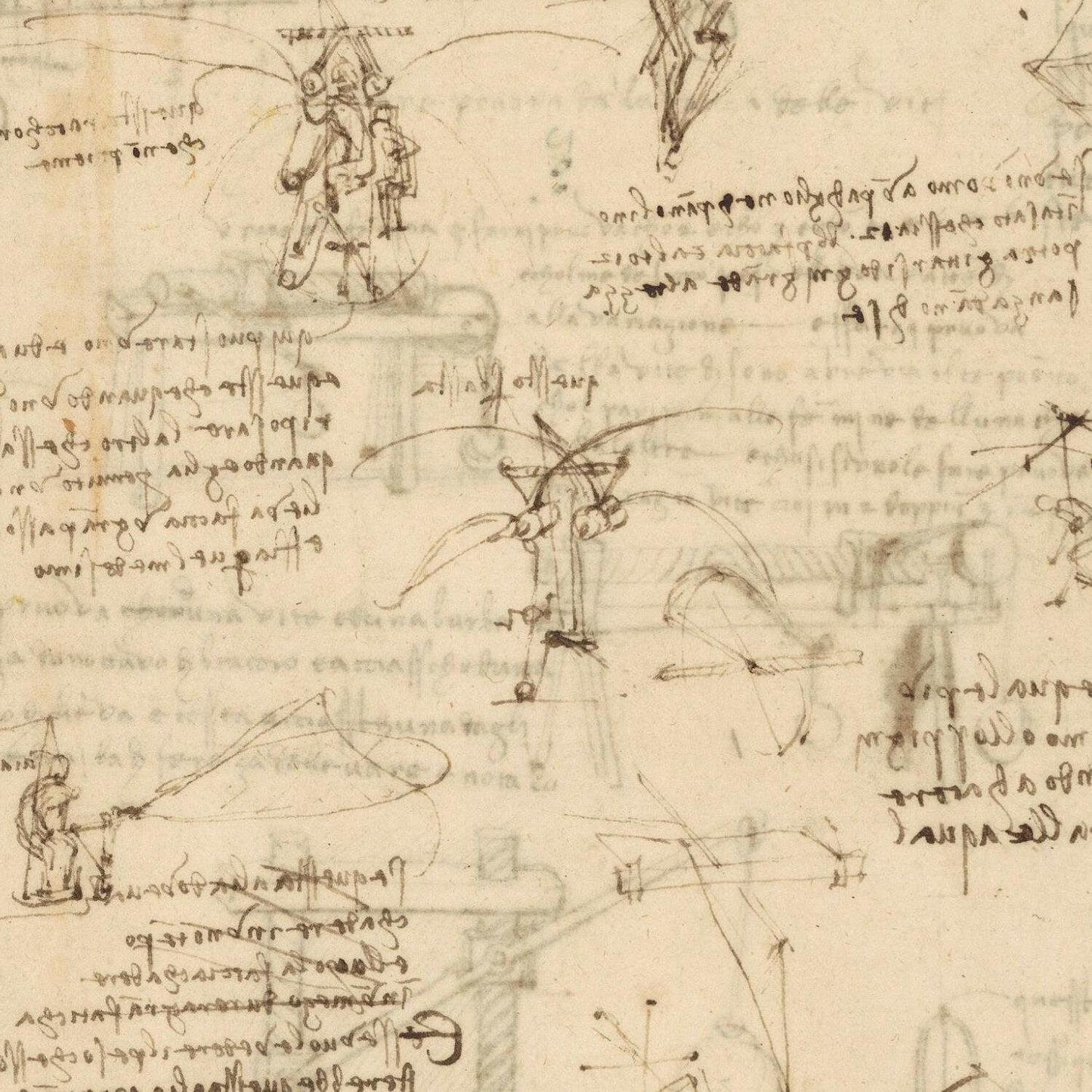 detail of the drawing reproduction from the centre