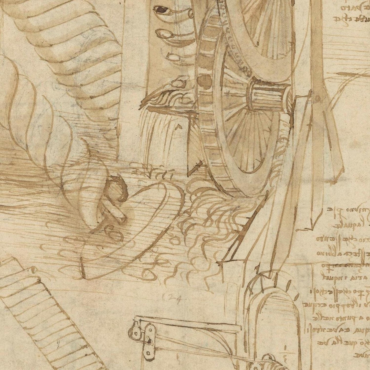detail of the drawing reproduction from the centre