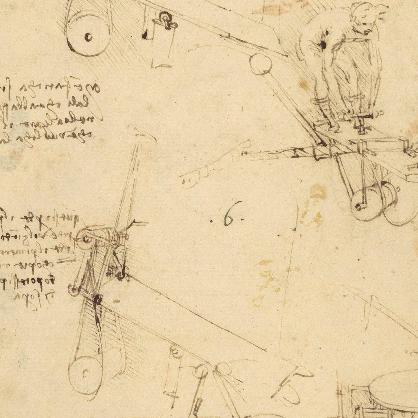 detail of the drawing reproduction from the centre