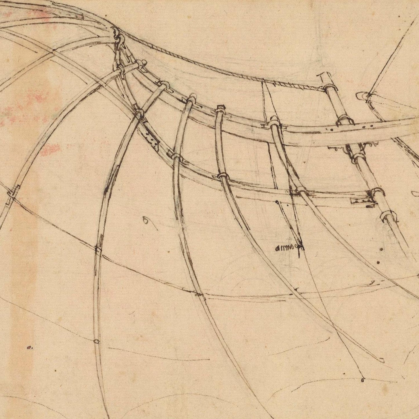 detail of the drawing reproduction from the centre