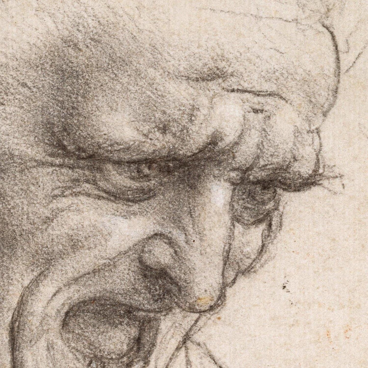 detail of the drawing reproduction from the centre