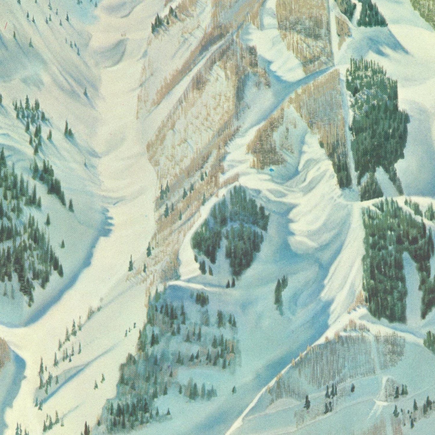 detail of the drawing reproduction from the centre