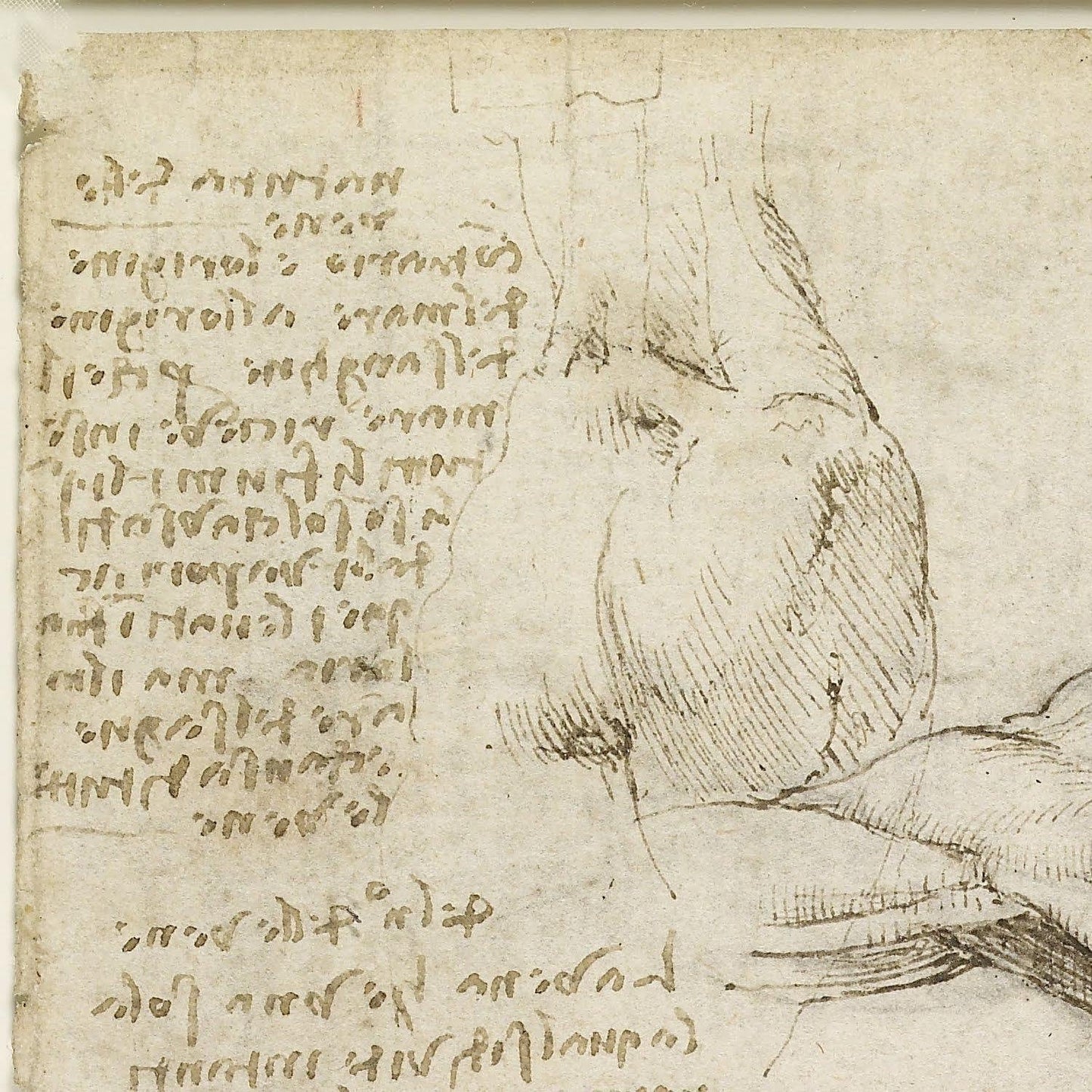 detail of the drawing reproduction from the top left corner