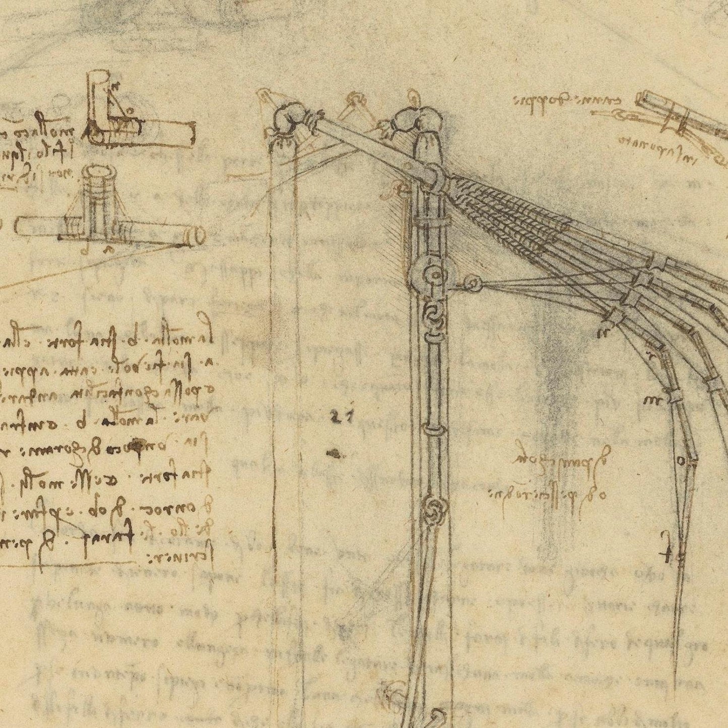 detail of the drawing reproduction from the centre