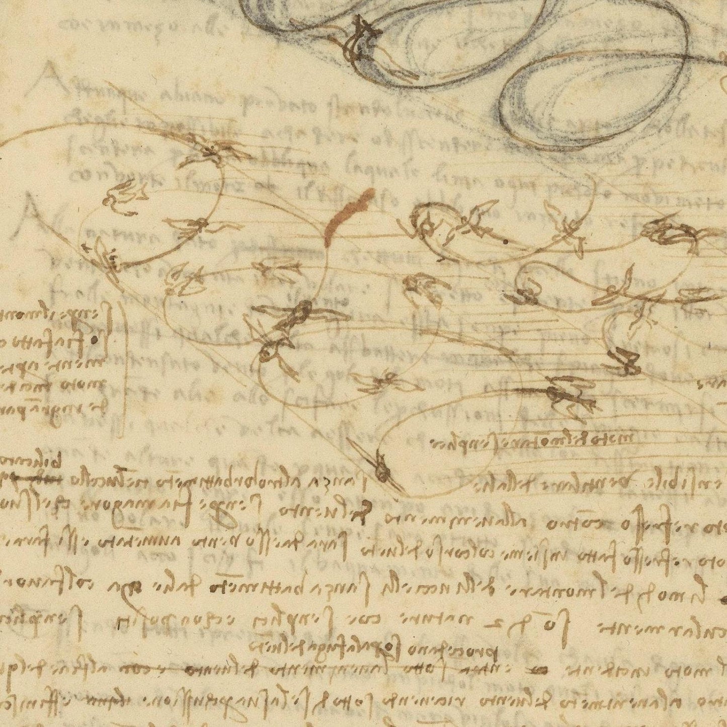 detail of the drawing reproduction from the centre