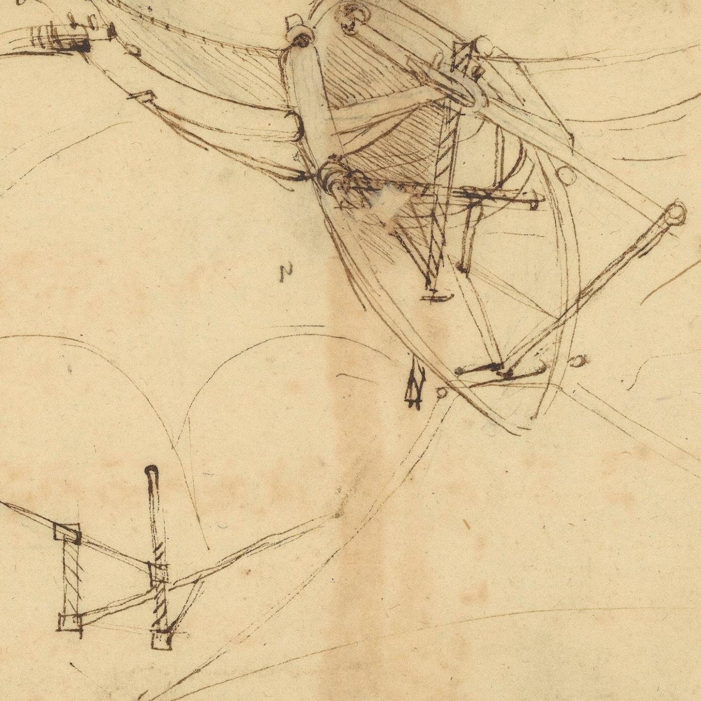 detail of the drawing reproduction from the centre