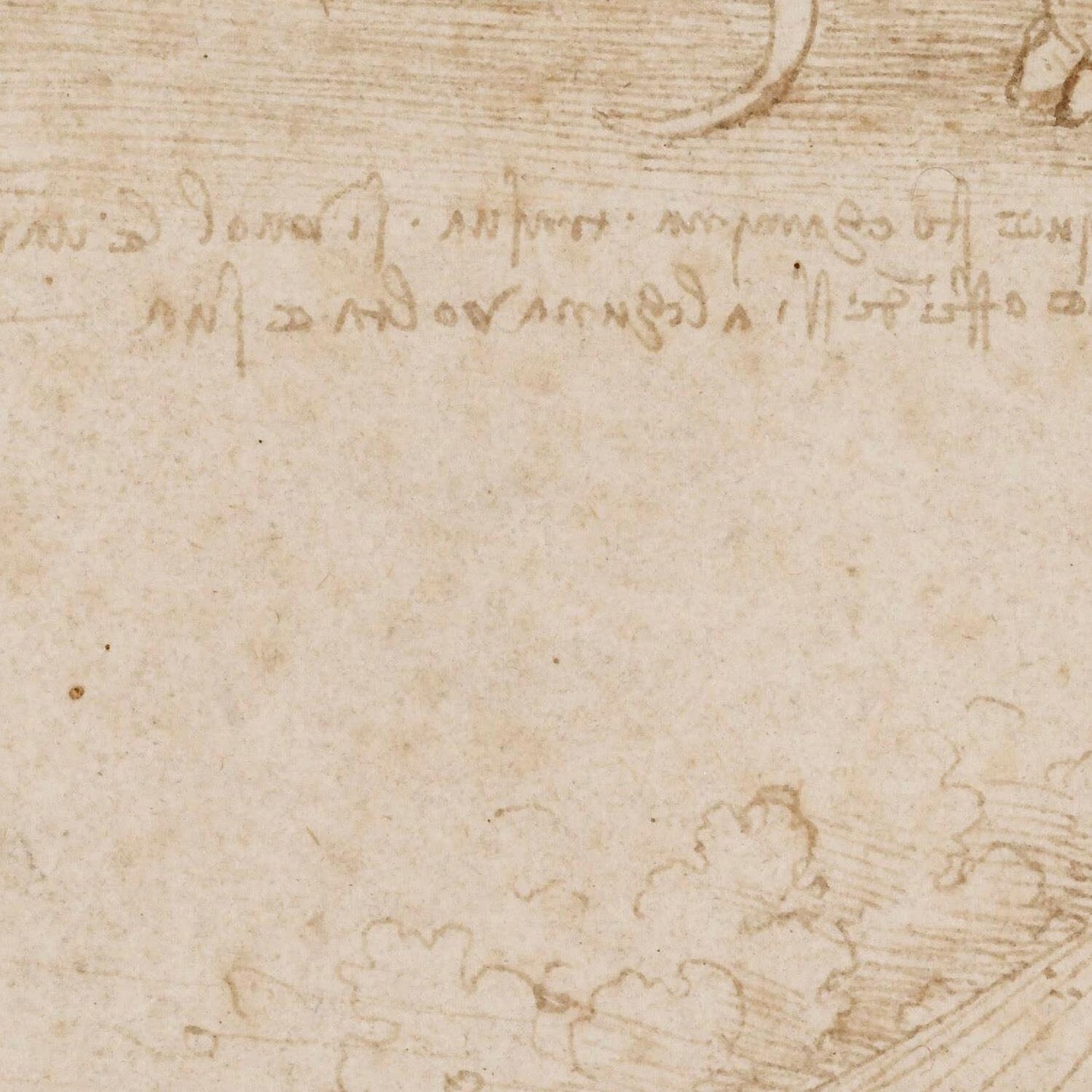 detail of the drawing reproduction from the centre