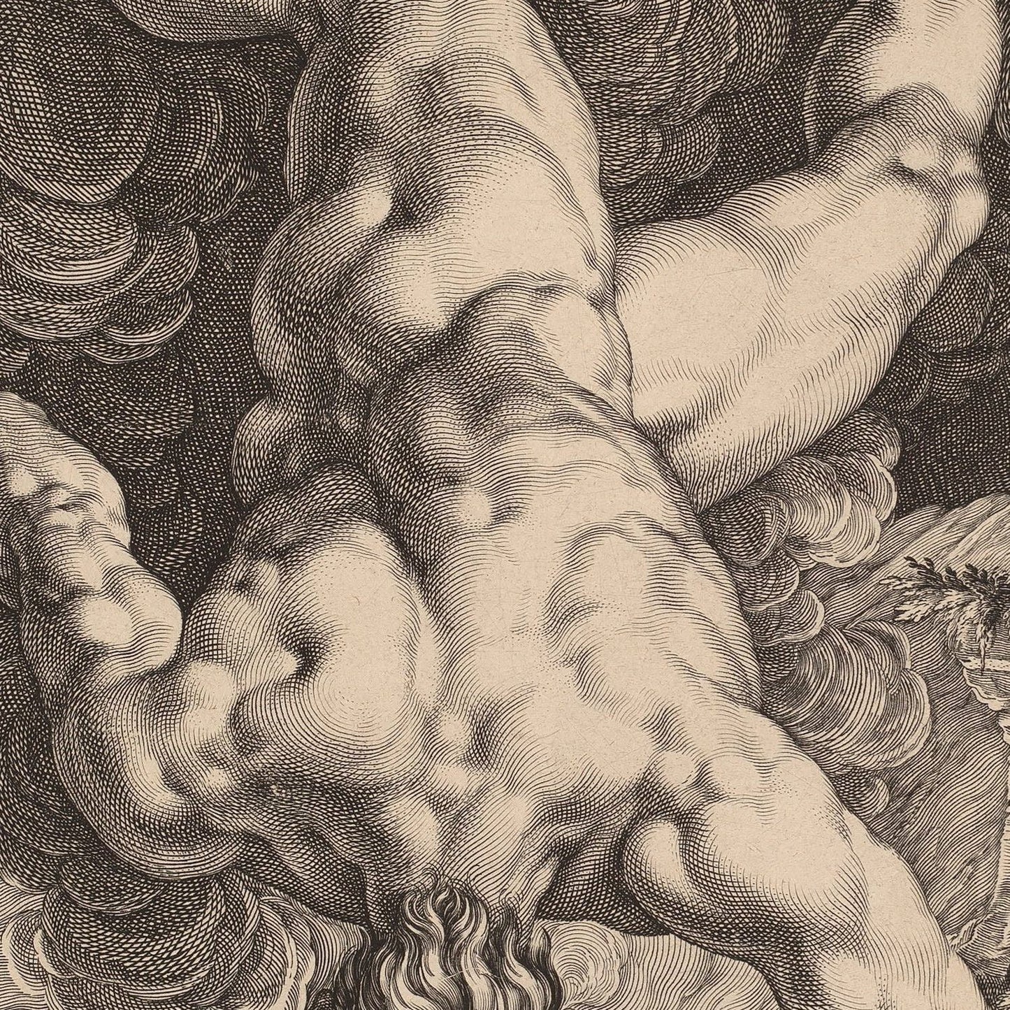detail of the drawing reproduction from the centre