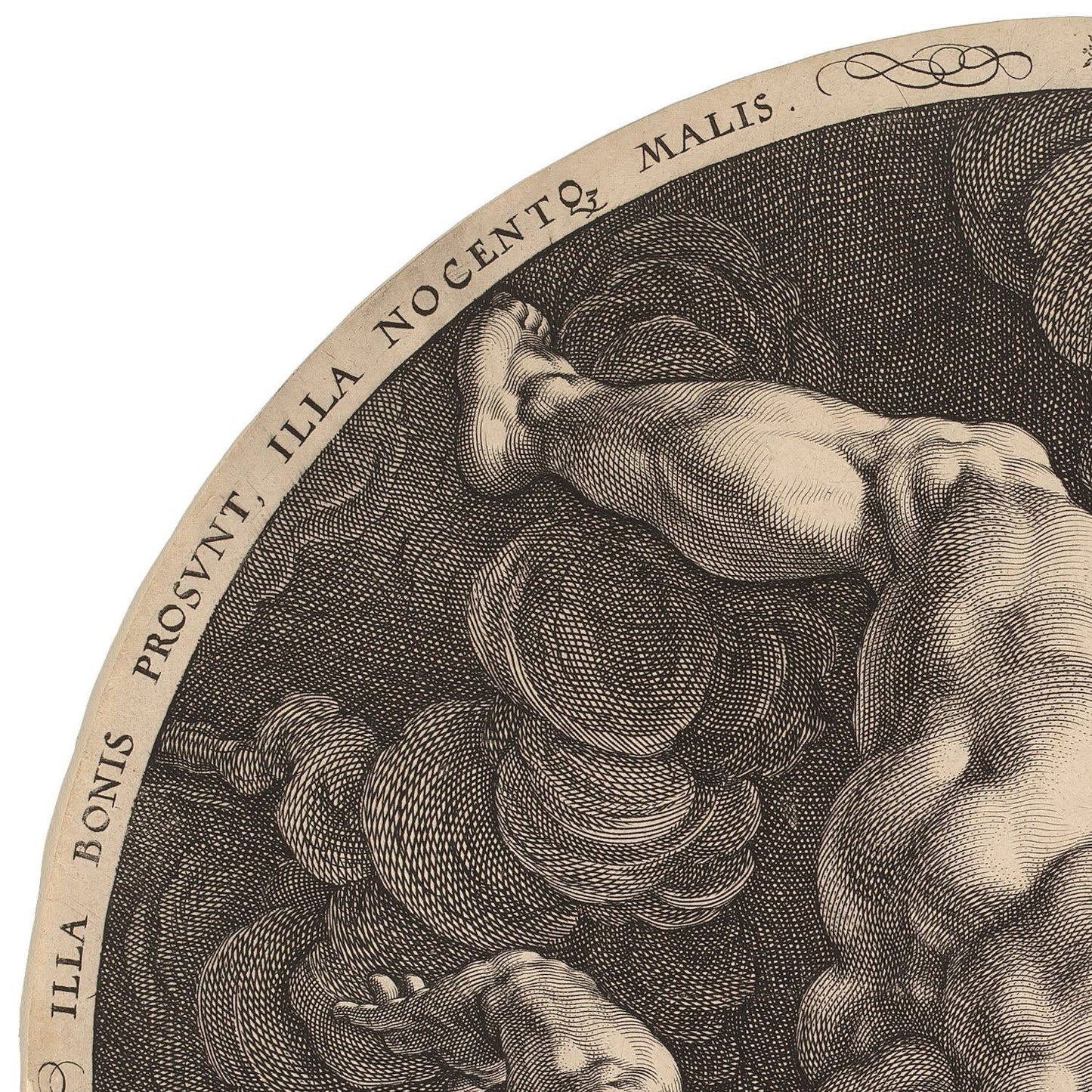 detail of the drawing reproduction from the top left corner