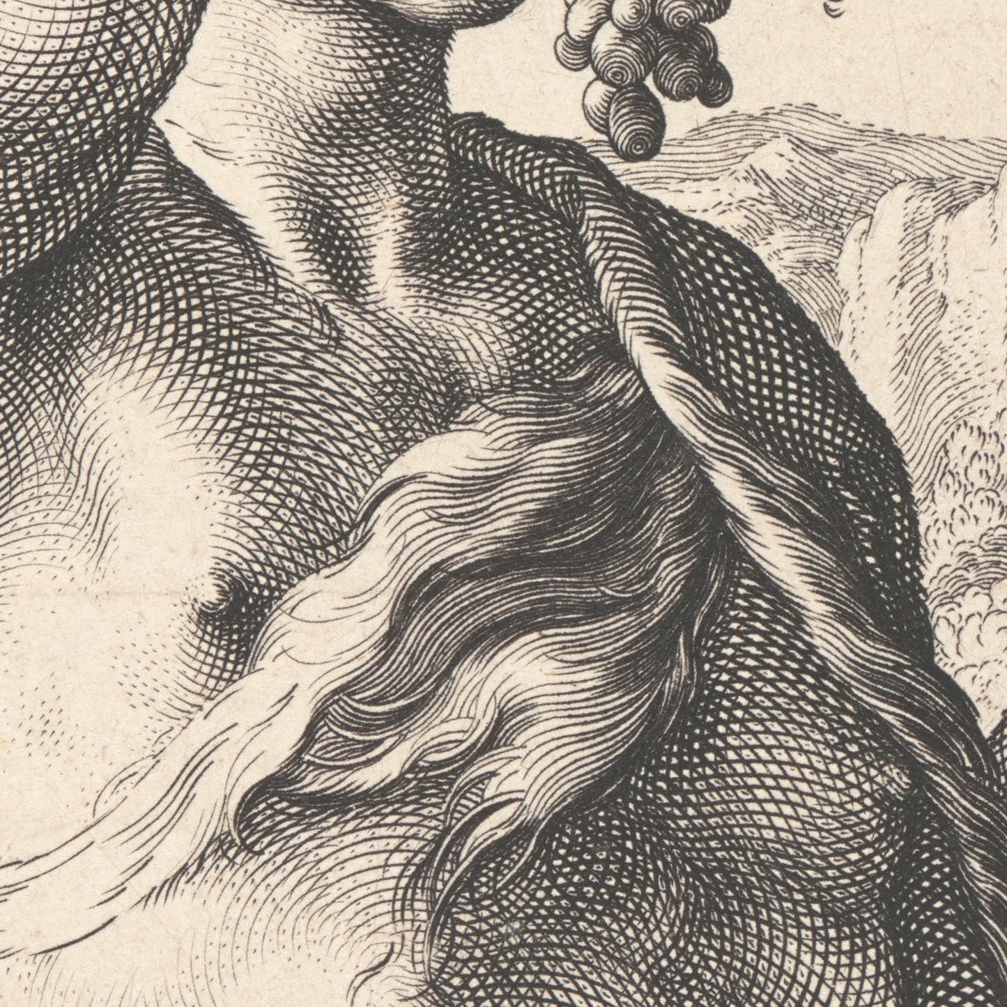 detail of the drawing reproduction from the centre