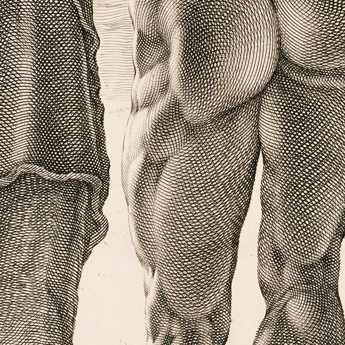 detail of the drawing reproduction from the centre