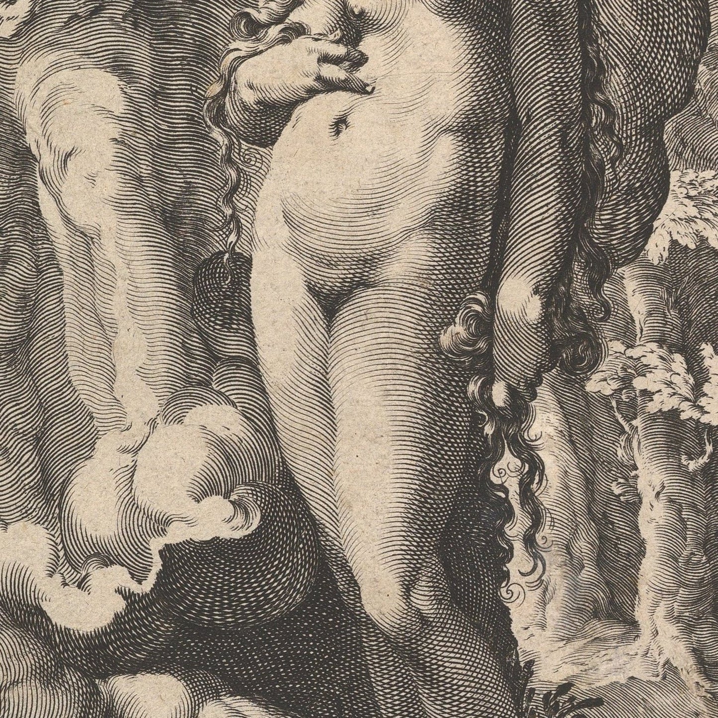 detail of the drawing reproduction from the centre