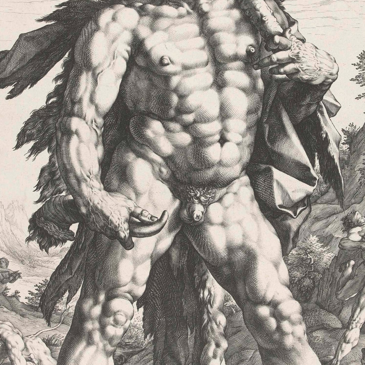 detail of the drawing reproduction from the centre