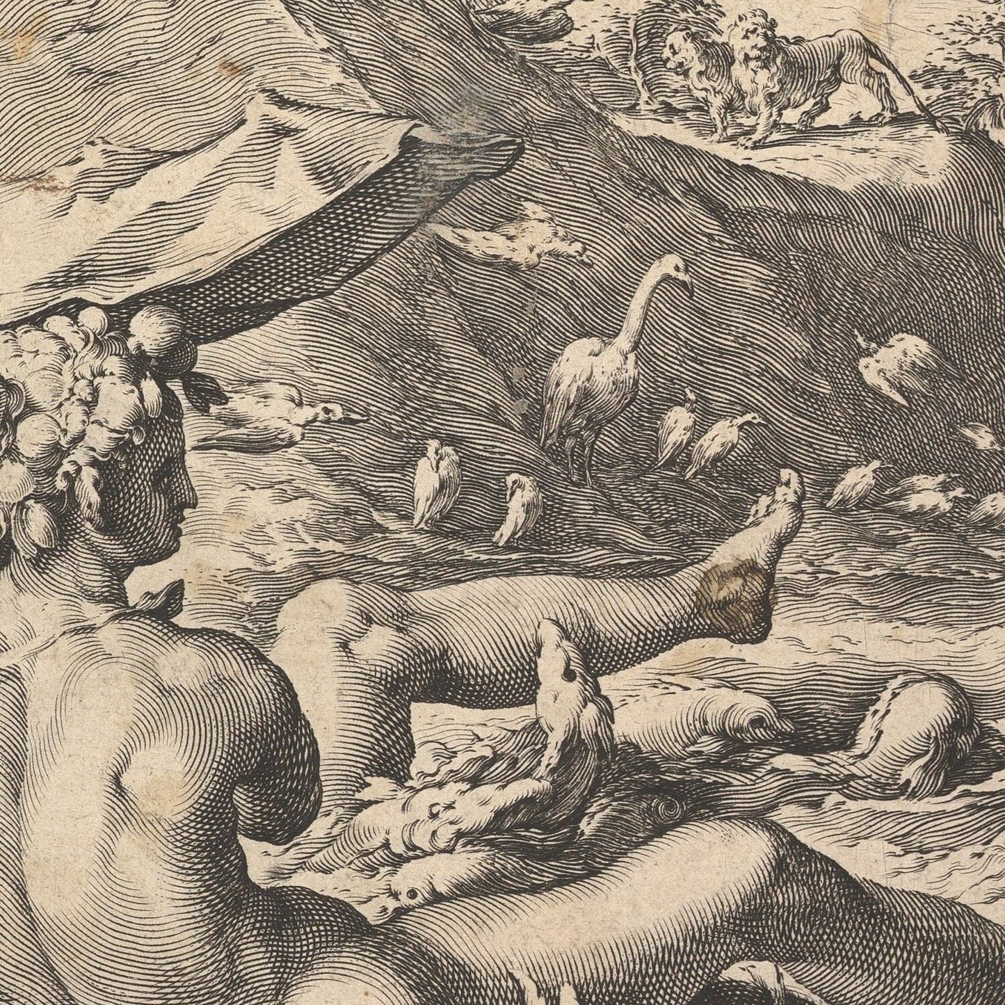 detail of the drawing reproduction from the centre