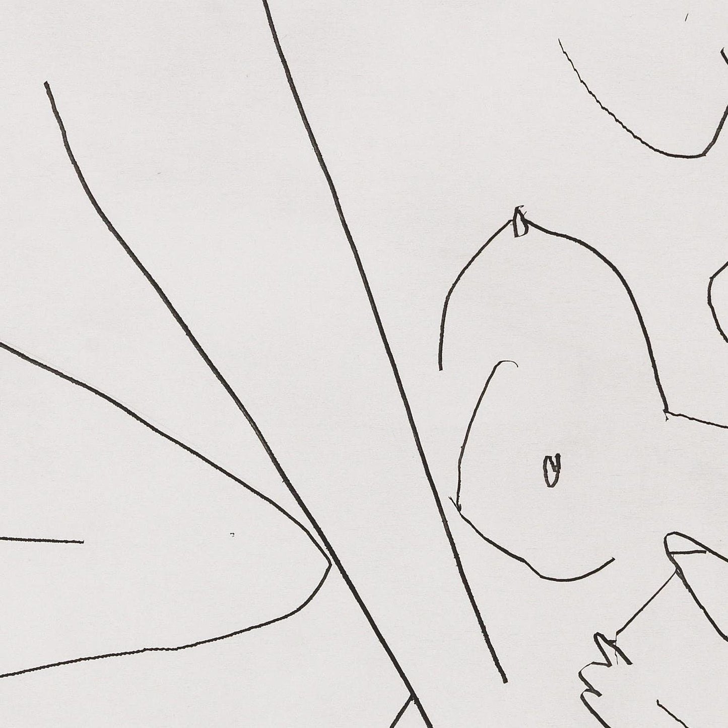 detail of the drawing reproduction from the centre