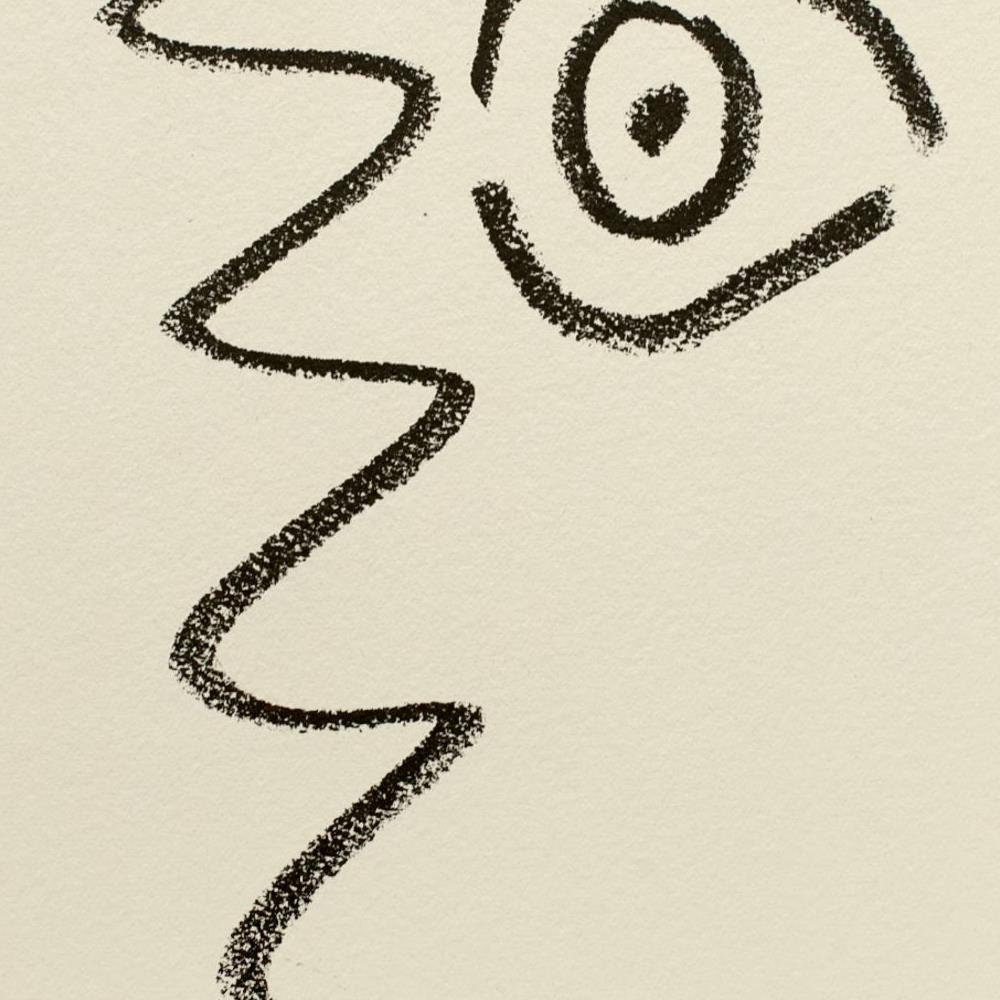 detail of the drawing reproduction from the centre