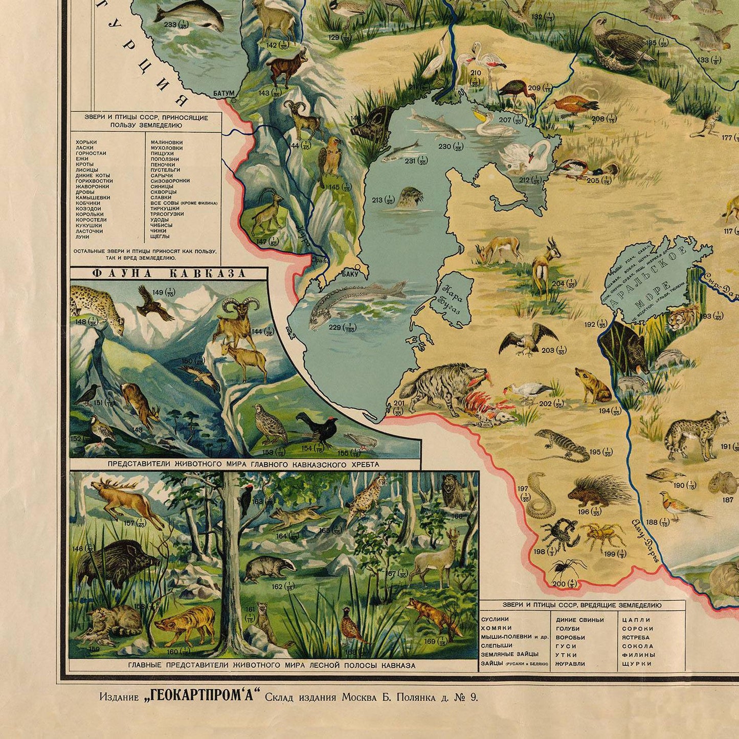 detail of the map from the bottom left corner