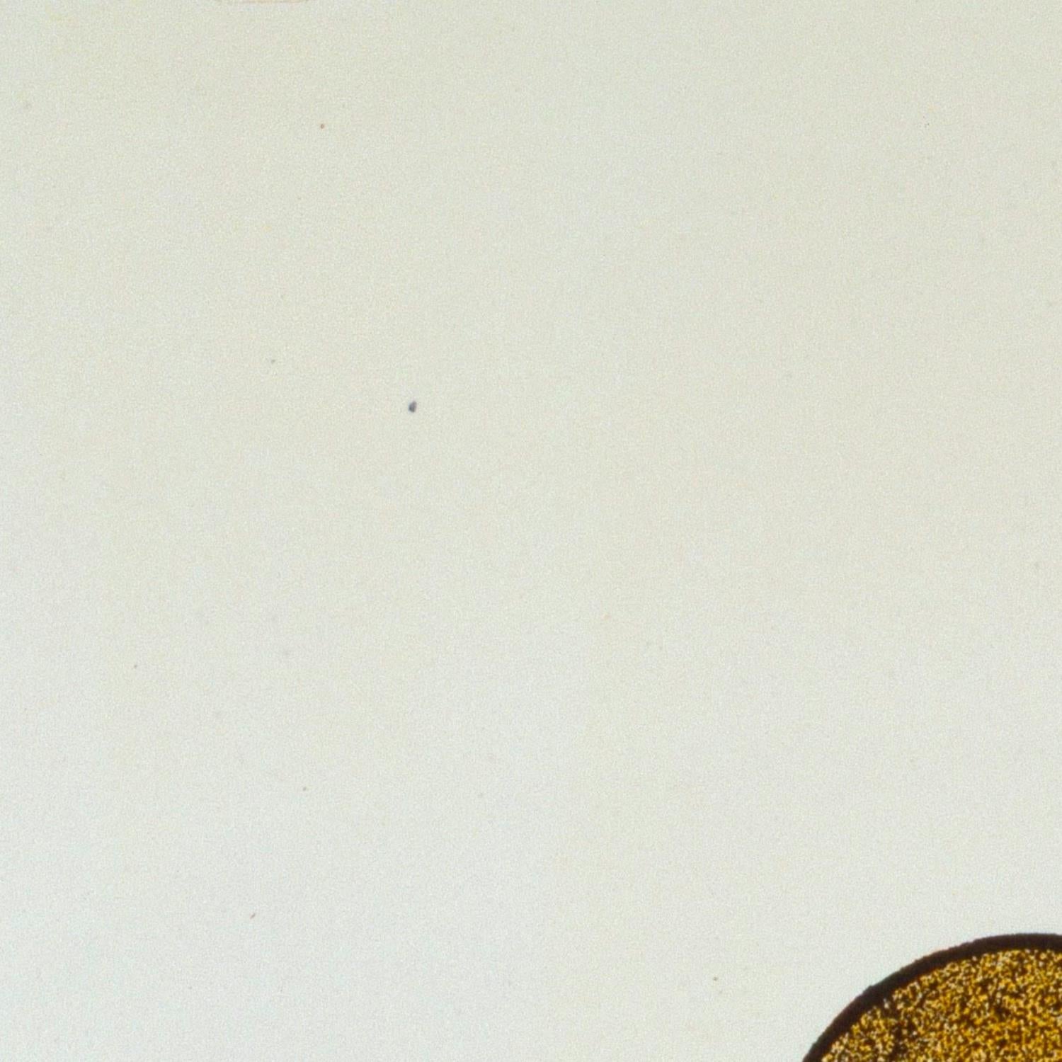 detail of the fine art reproduction from the top left