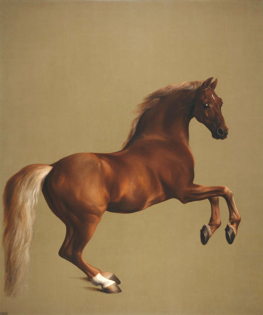 George Stubbs, Whistlejacket, 1762