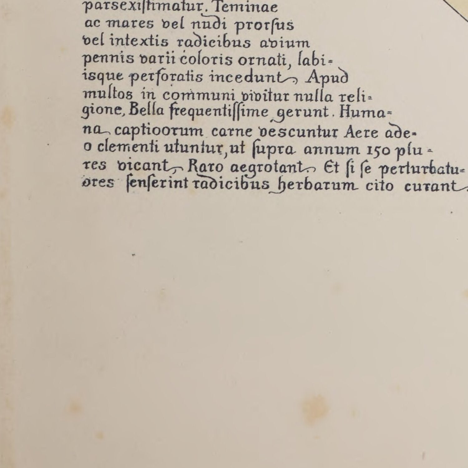 detail of the map from the bottom left corner
