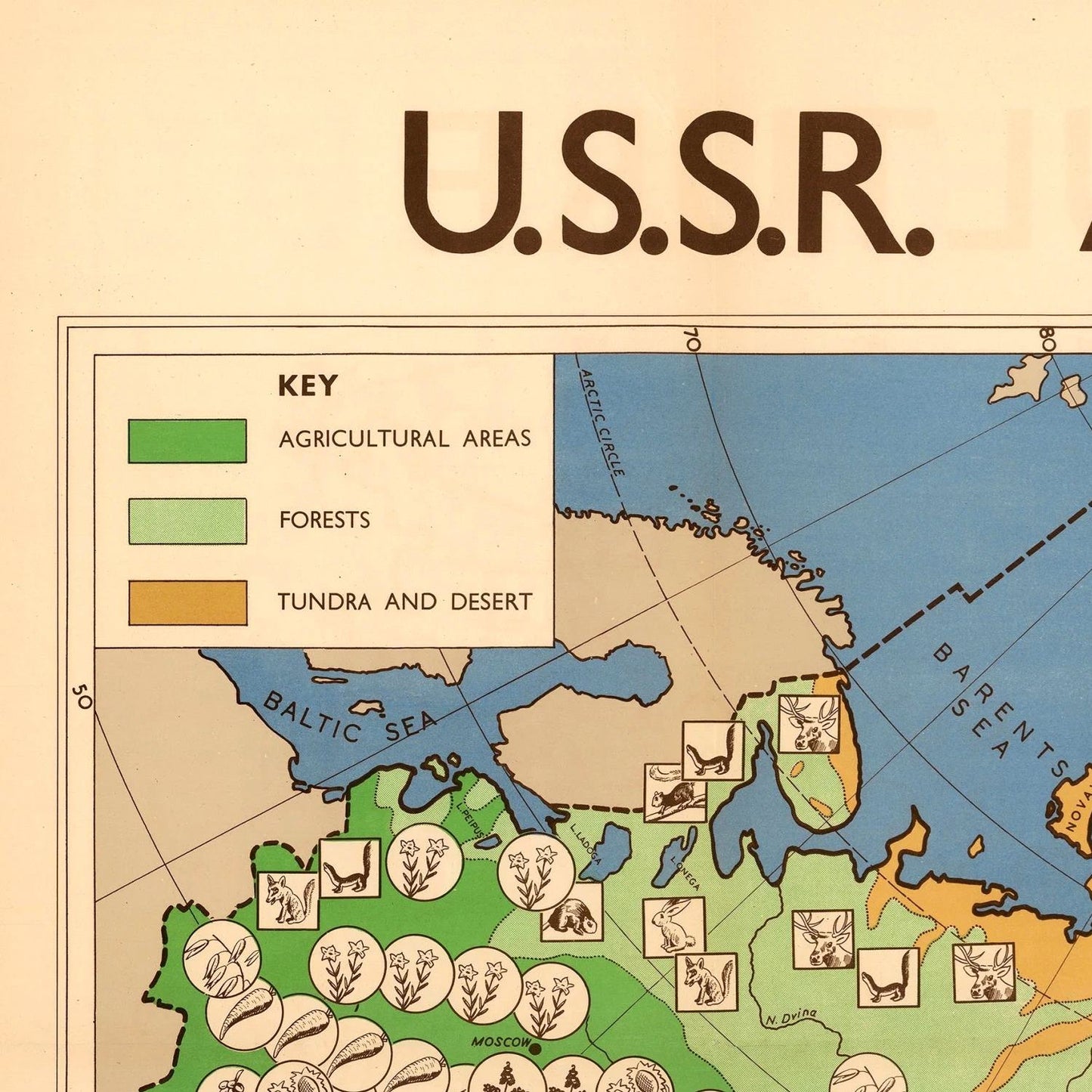 Old map of the USSR Agriculture, 1946