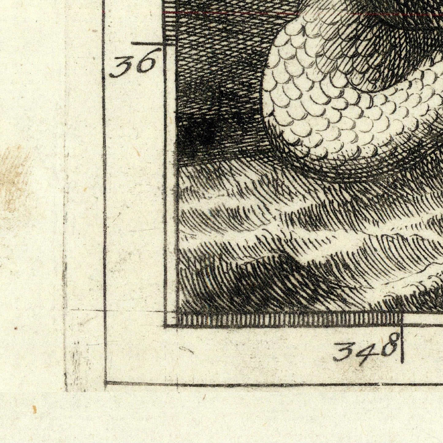 Close-up of a detailed black and white illustration on a textured paper background