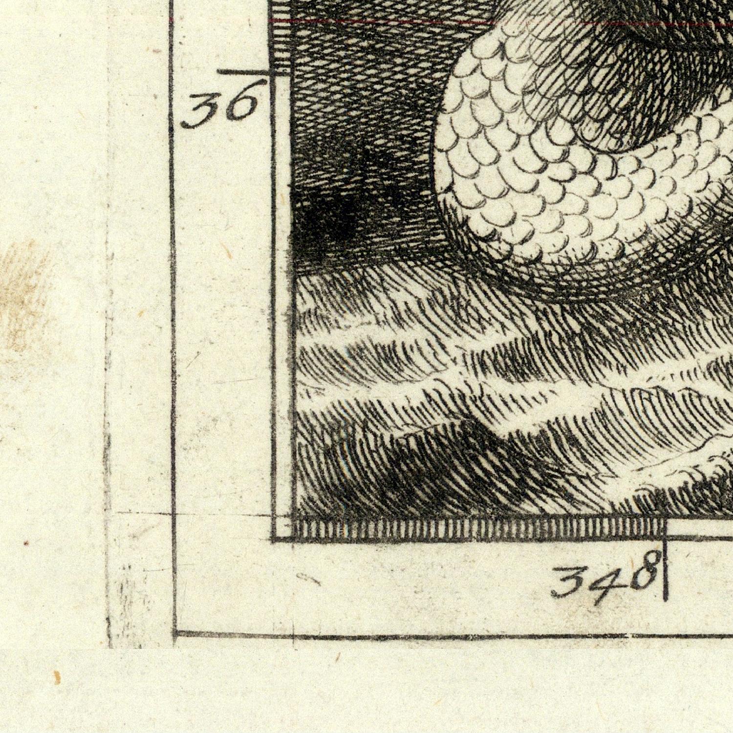 Close-up of a detailed black and white illustration on a textured paper background