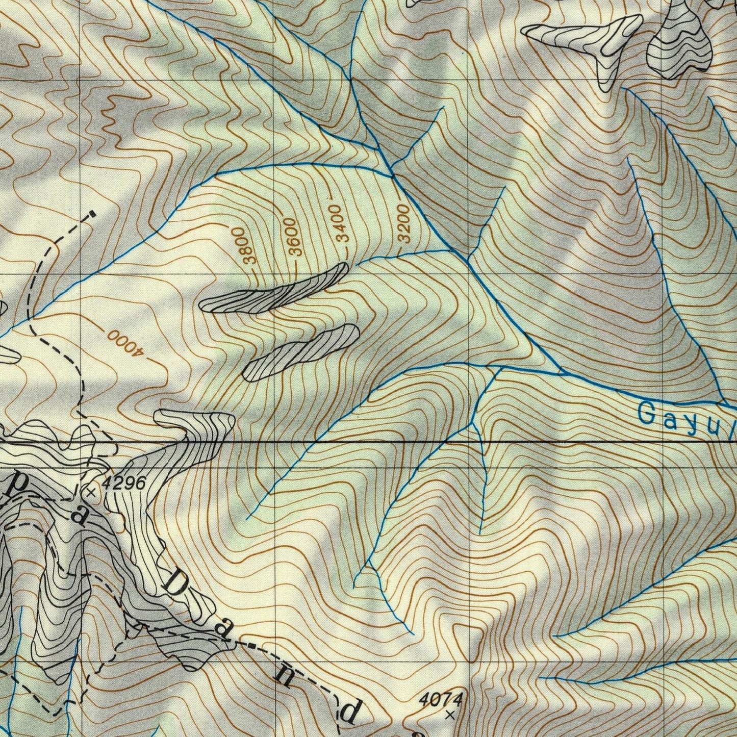 Topographic map with contour lines and grid, featuring the word 'Gayu'.