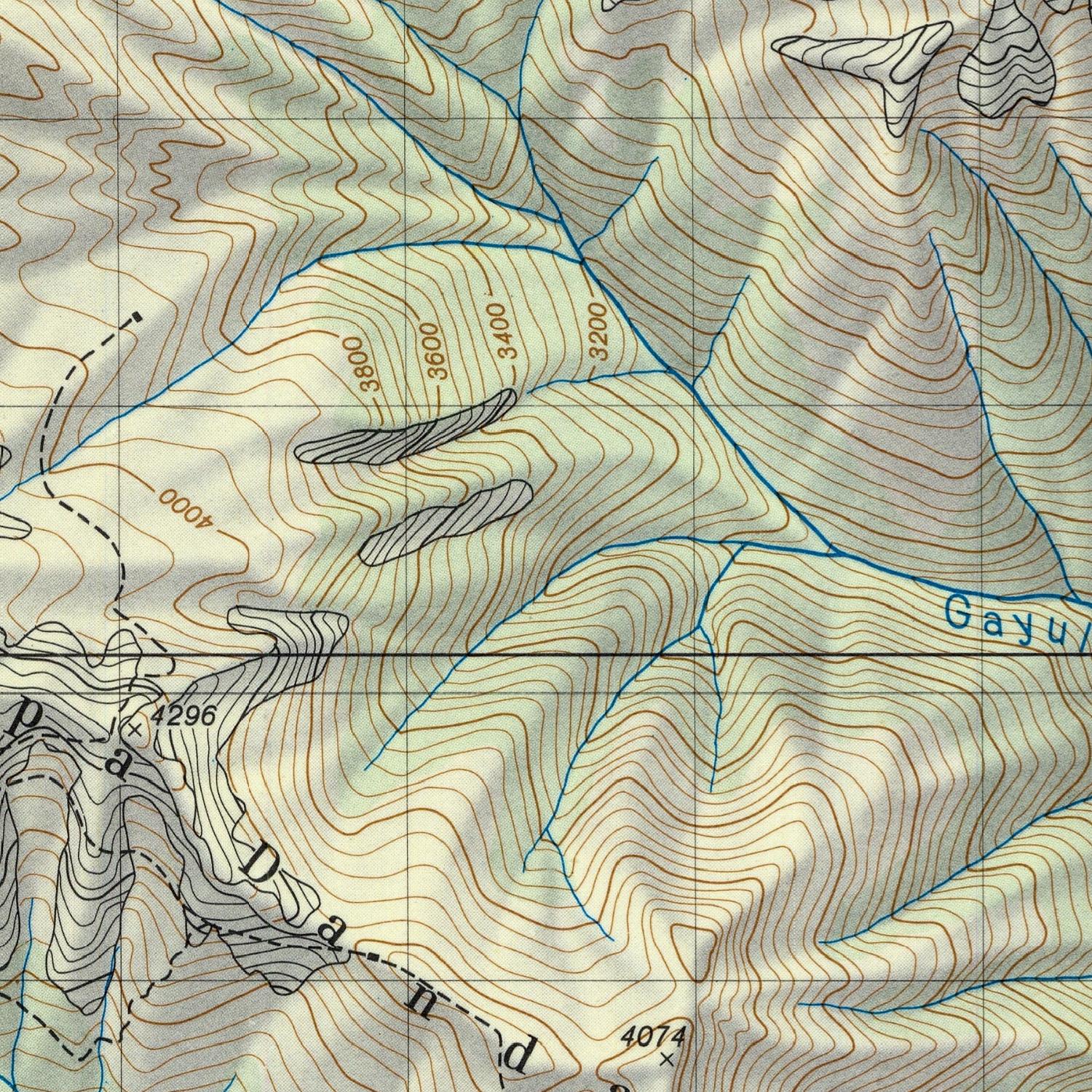 Topographic map with contour lines and grid, featuring the word 'Gayu'.