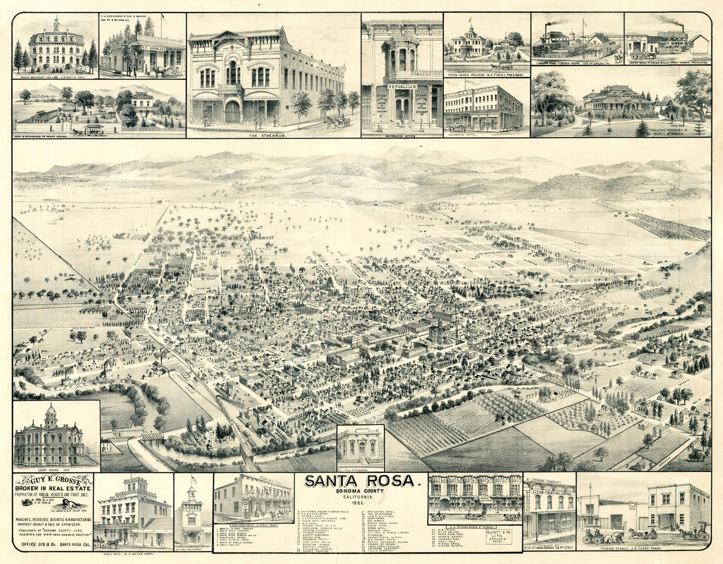 Vintage panoramic map of Santa Rosa with various buildings and scenes.